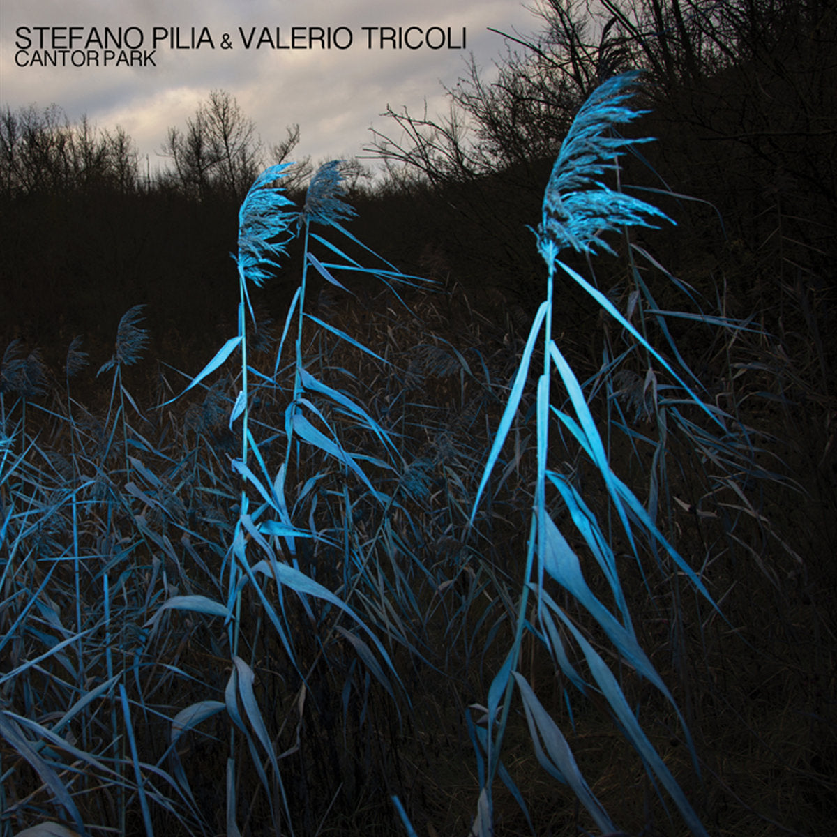 Cantor Park - Front Cover