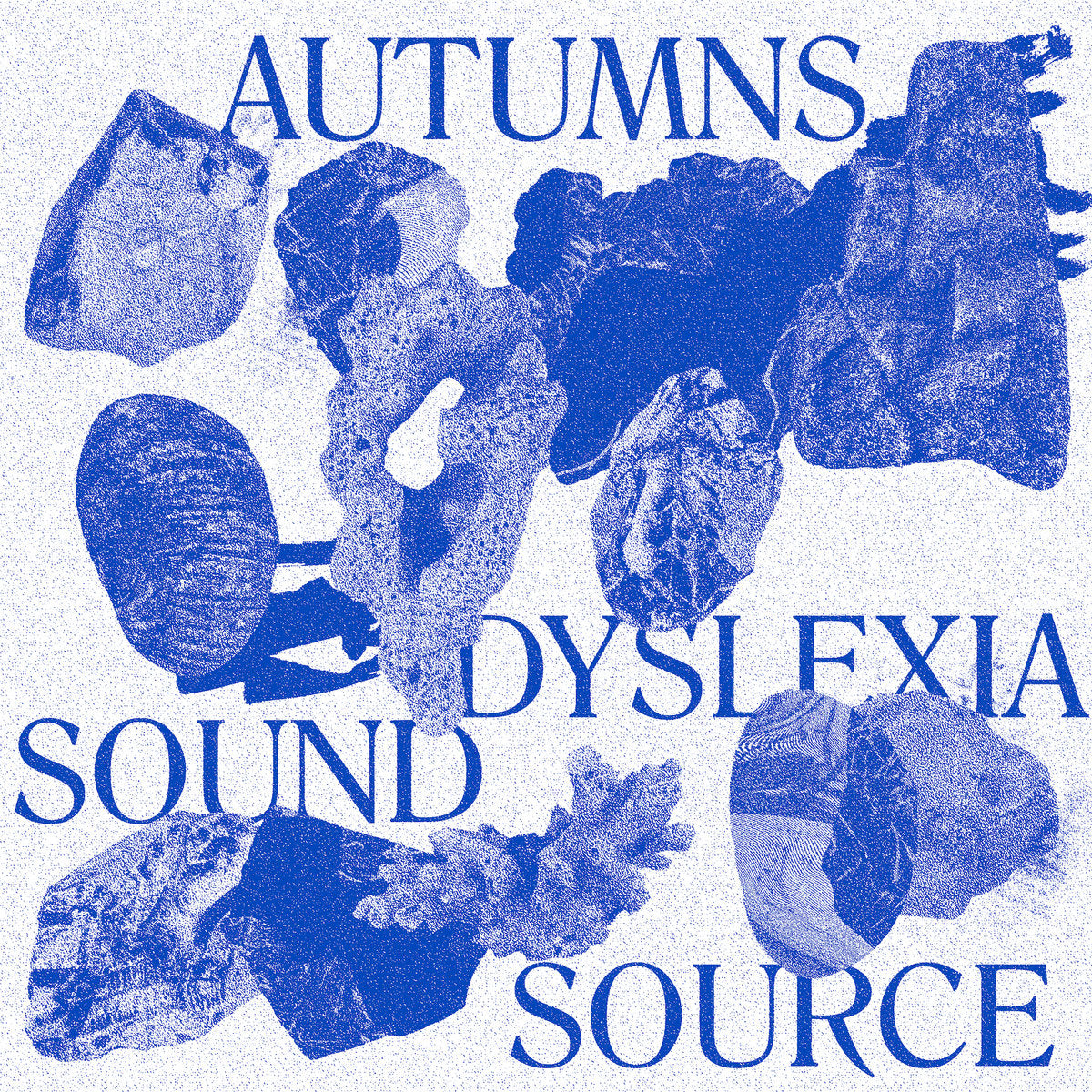 Dyslexia Sound Source - Front Cover