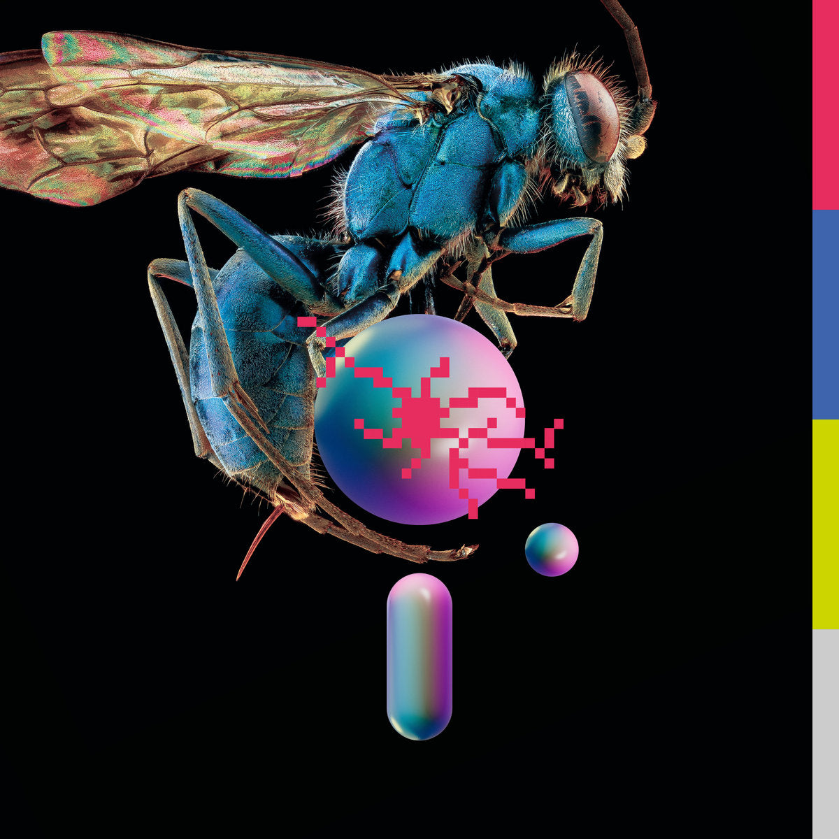 Hive/Blue Vinyl - Front Cover