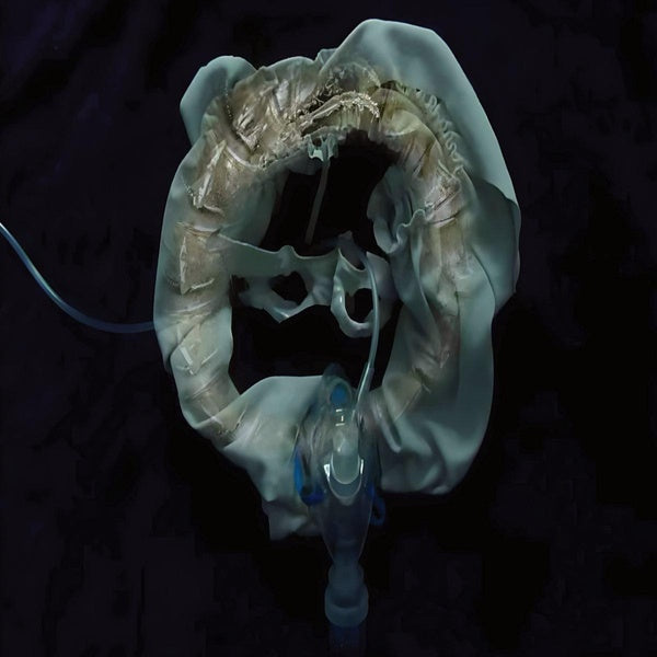 InitiatriX - Front Cover