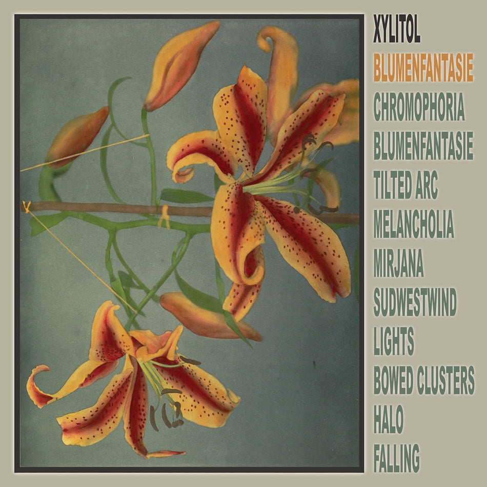 Blumenfantasie - Front Cover