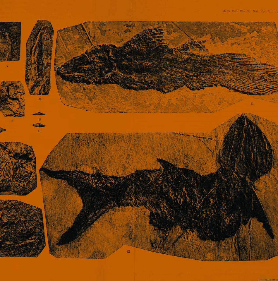 Mares - Front Cover