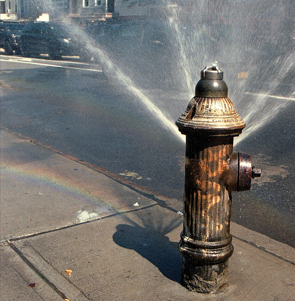 Pavonine - Front Cover