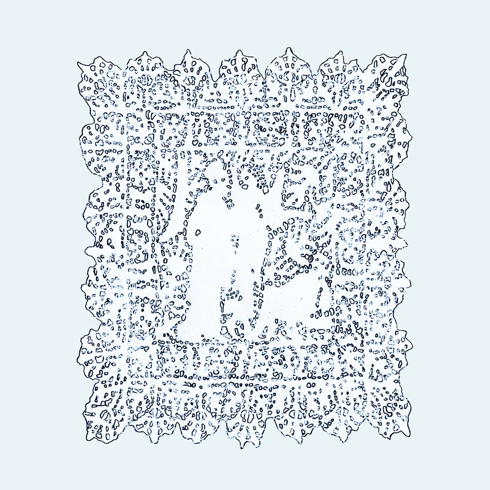 Always + Forever - Front Cover