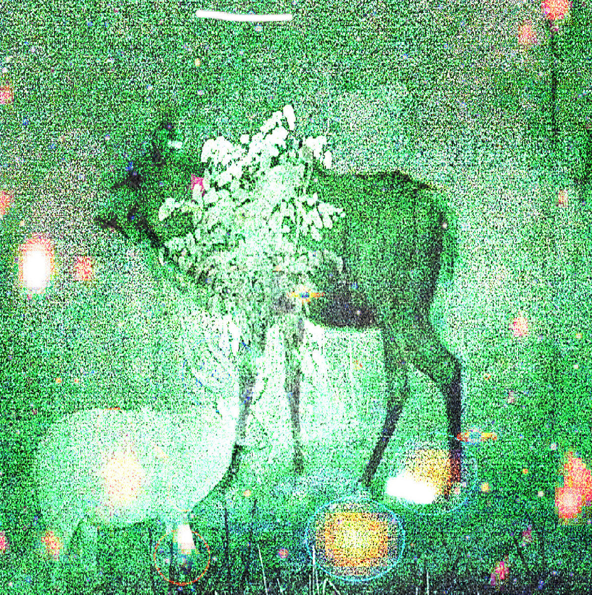 Wombs And Alien Spirits - Front Cover