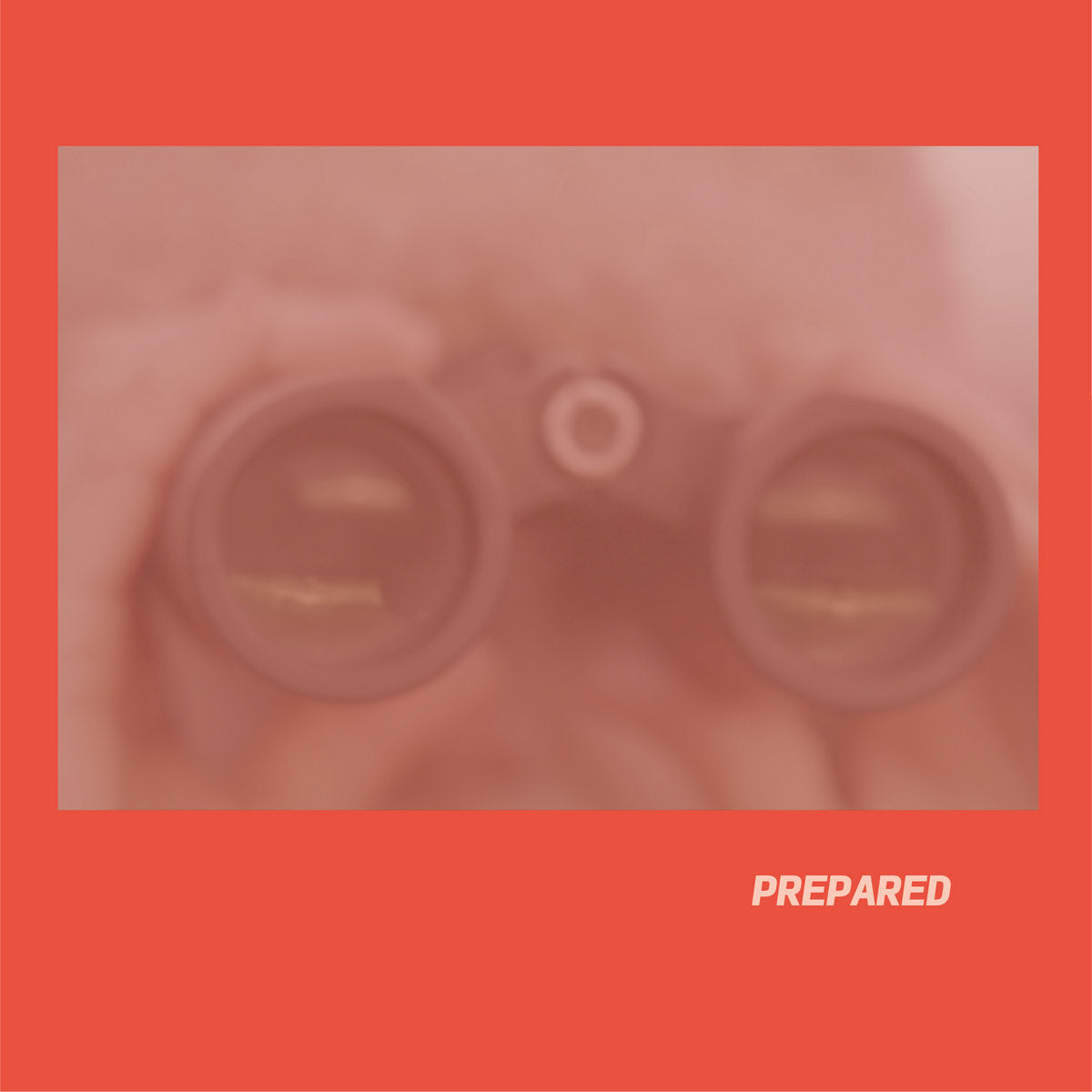 Prepared/Rose Pink Vinyl - Front Cover