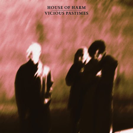 Vicious Pastimes/Rose Vinyl - Front Cover
