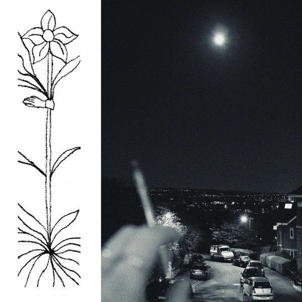 A Soft and Gatherable Star - Front Cover