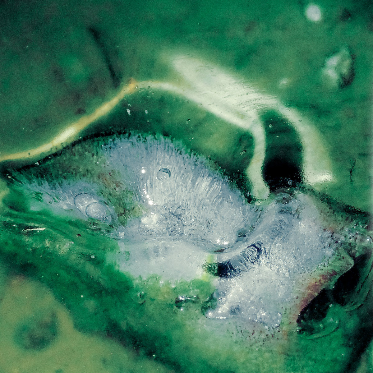 A Pool, a Portal - Front Cover