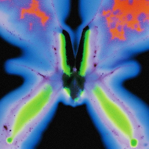 Elvers Pass - Front Cover