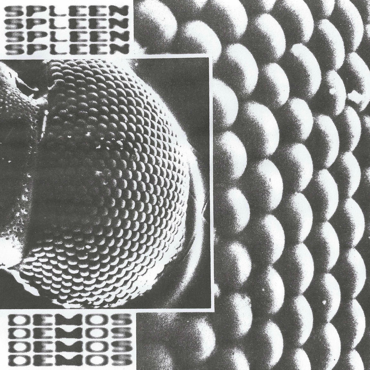 Demos - Front Cover