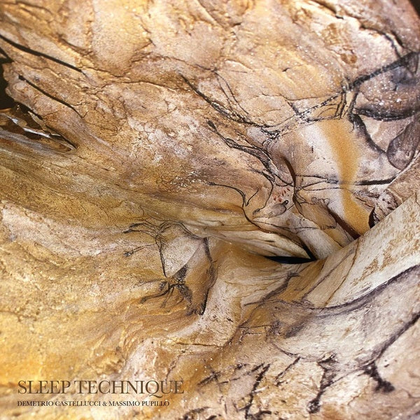Sleep Technique - Front Cover