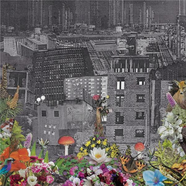 Perpetual Eden - Front Cover