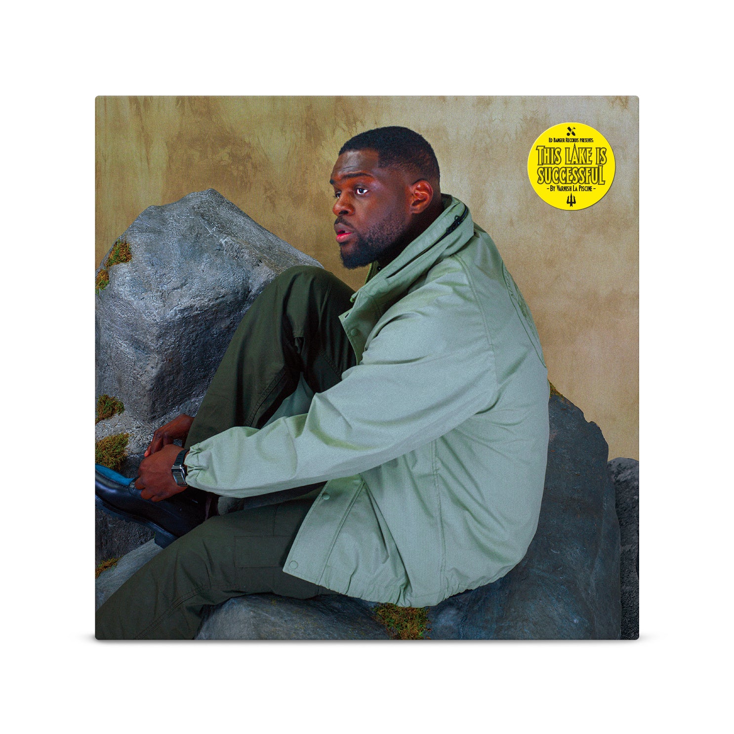 This Lake is Successful - Front Cover