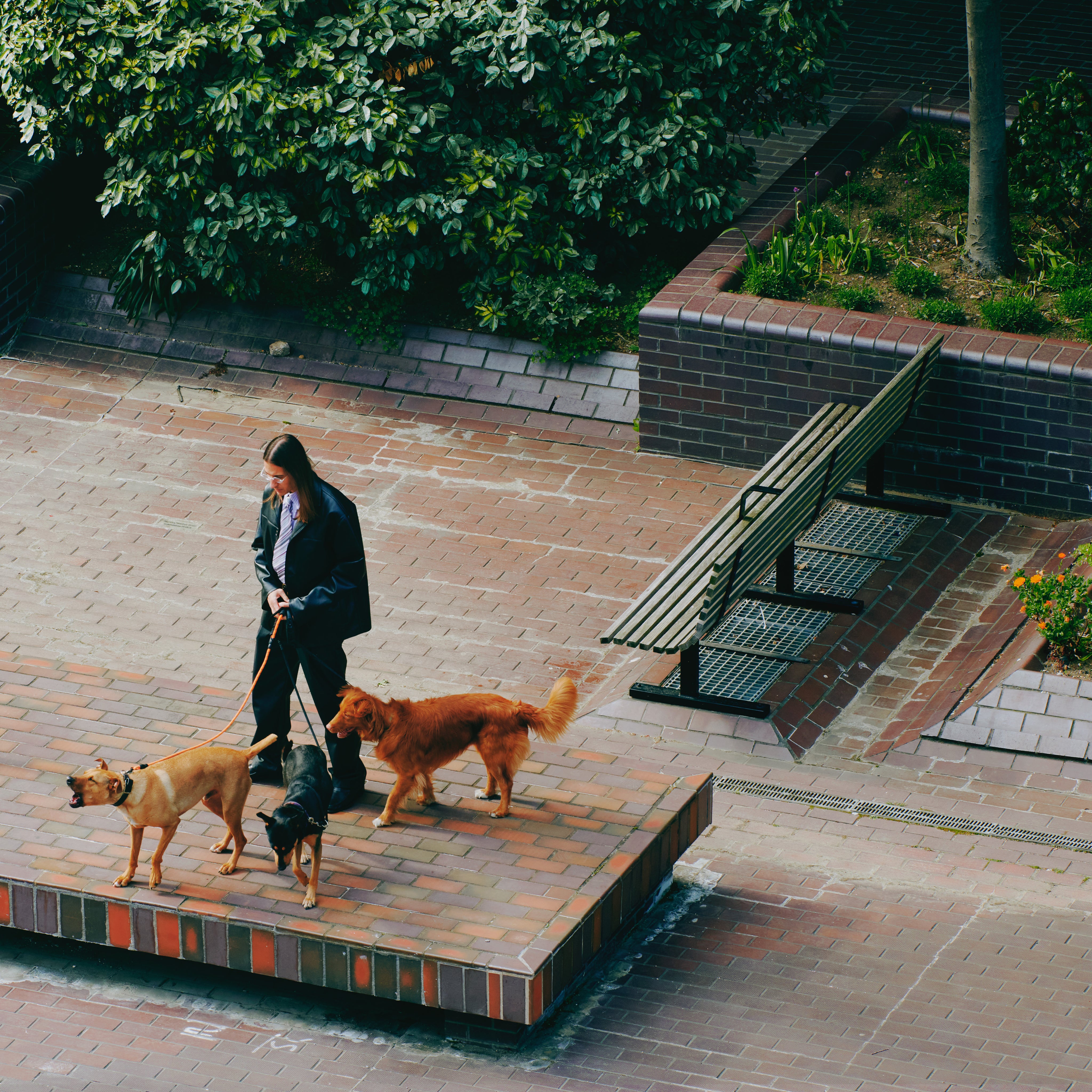 Way Back Home - Front Cover