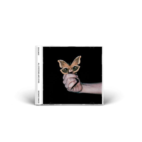 ALL SYSTEMS ARE LYING - Front Cover