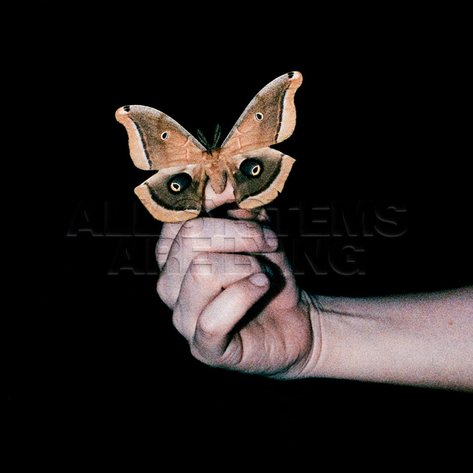 ALL SYSTEMS ARE LYING - Front Cover