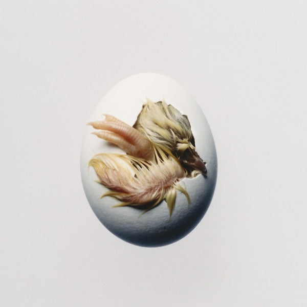Swallow! - Vinyle - Front Cover