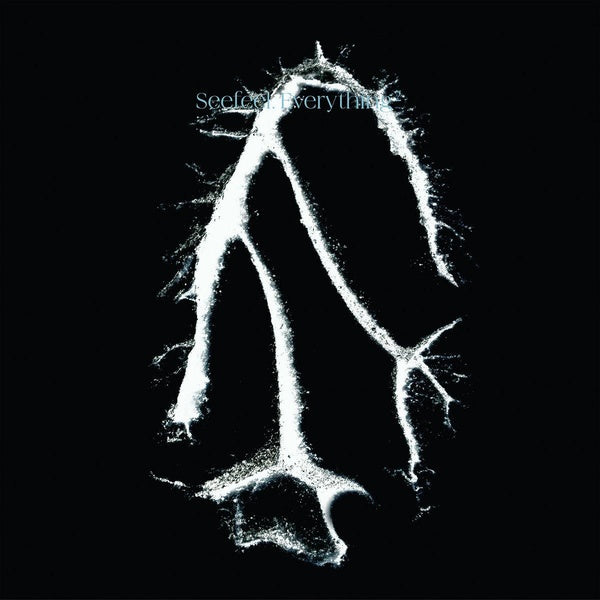 Everything Squared - Front Cover