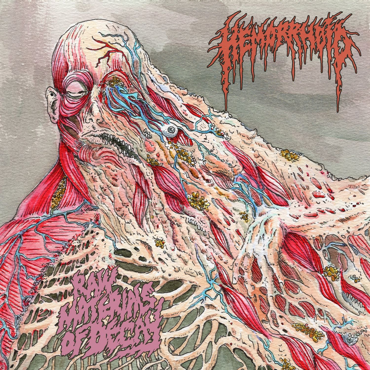 Raw Materials of Decay - Front Cover