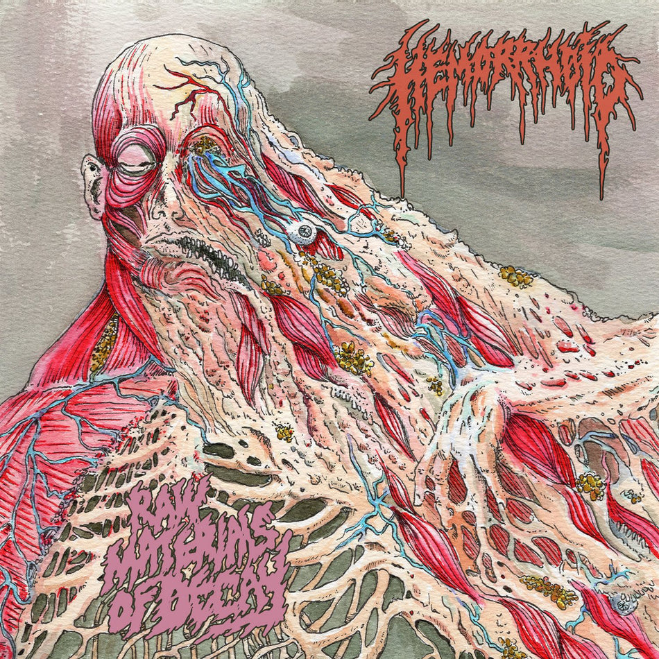 Raw Materials of Decay - Front Cover