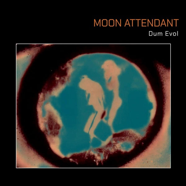 Dum Evol - Vinyle - Front Cover