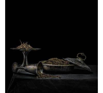 All We Have Is Never/Purple Vinyl - Front Cover