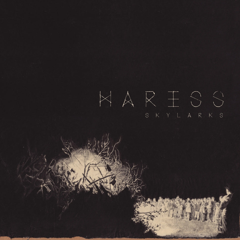Skylarks - Front Cover