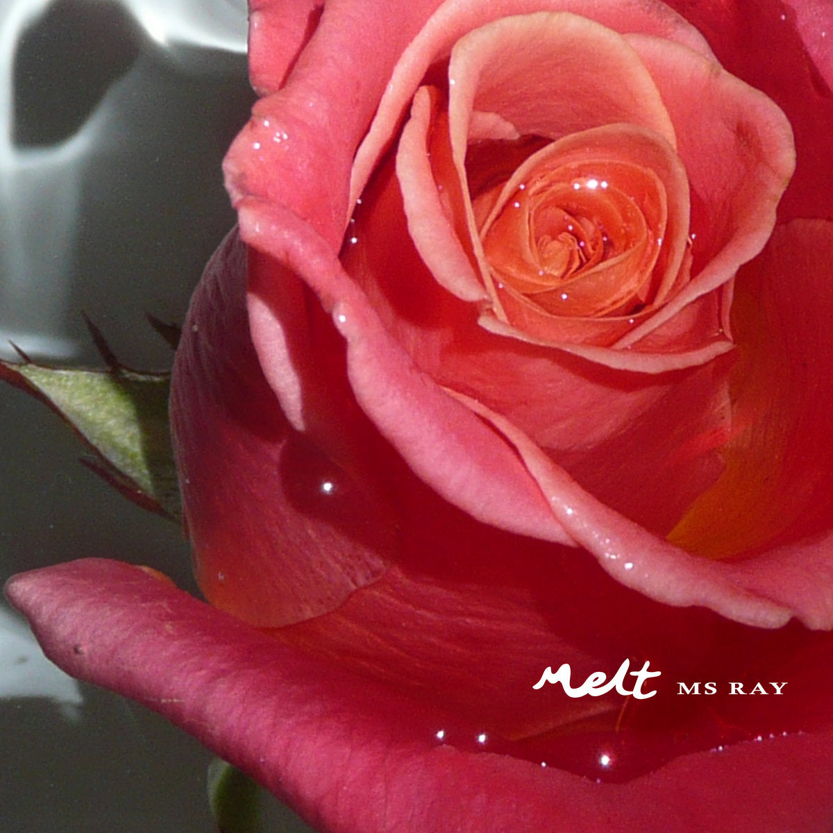Melt - Front Cover