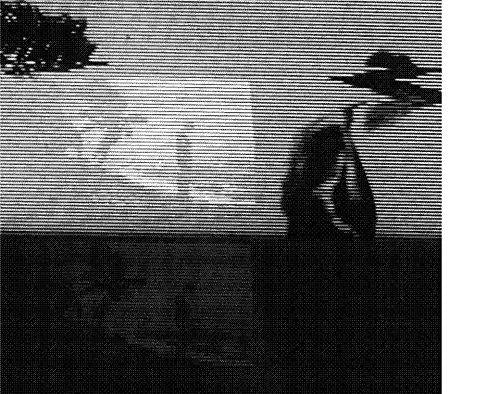 Evidence Of Time Travel - Front Cover