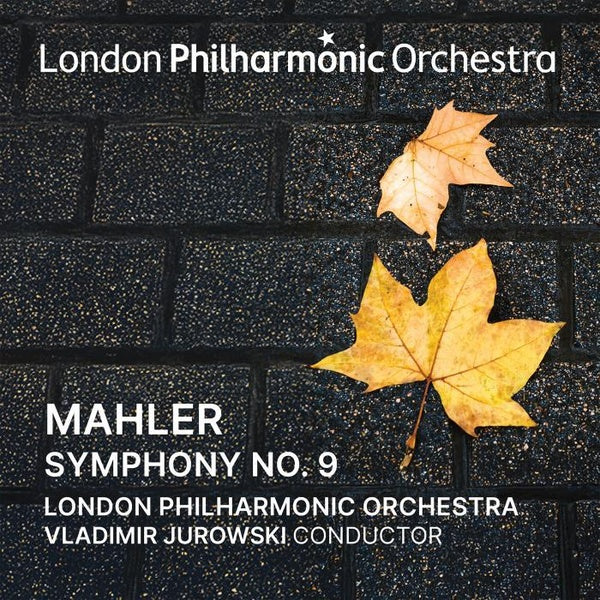 Vladimir Jurowski Conducts Mahler's Symphony - Front Cover