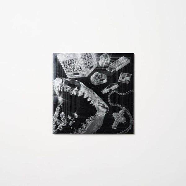 Lex XX - Front Cover