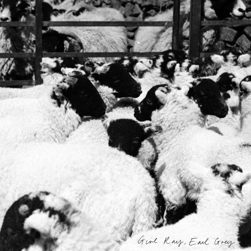 Earl Grey - Front Cover