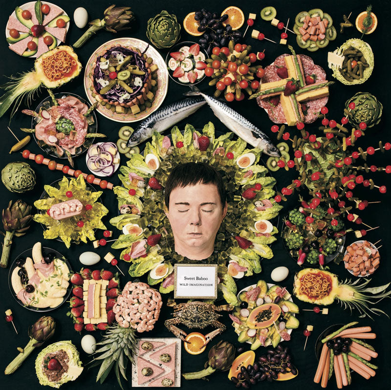 Wild Imagination - Front Cover