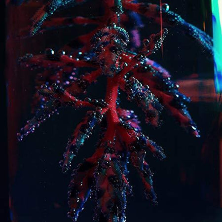 Cocoon Crush - Front Cover