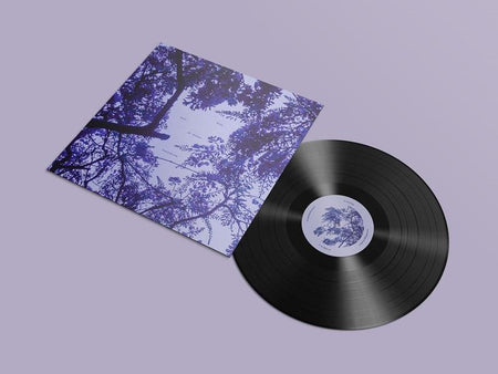 HARP BEATS AND DREAMS - Front Cover