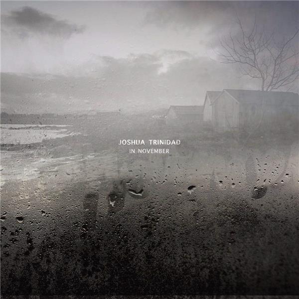 In November - Front Cover