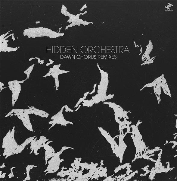 DAWN CHORUS REMIXES - Front Cover