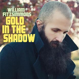 Gold in the shadow - Front Cover