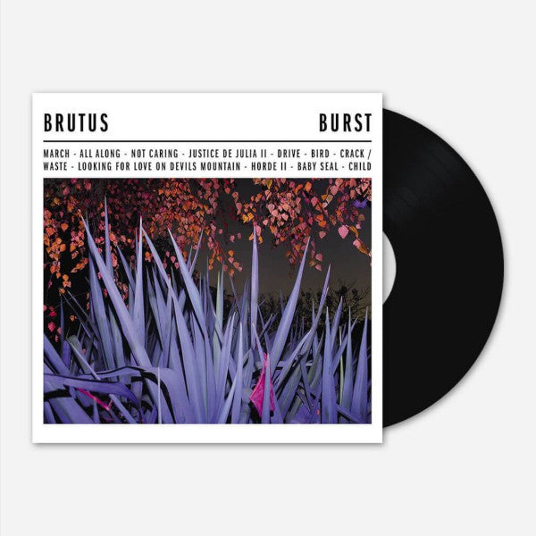 Burst - Front Cover