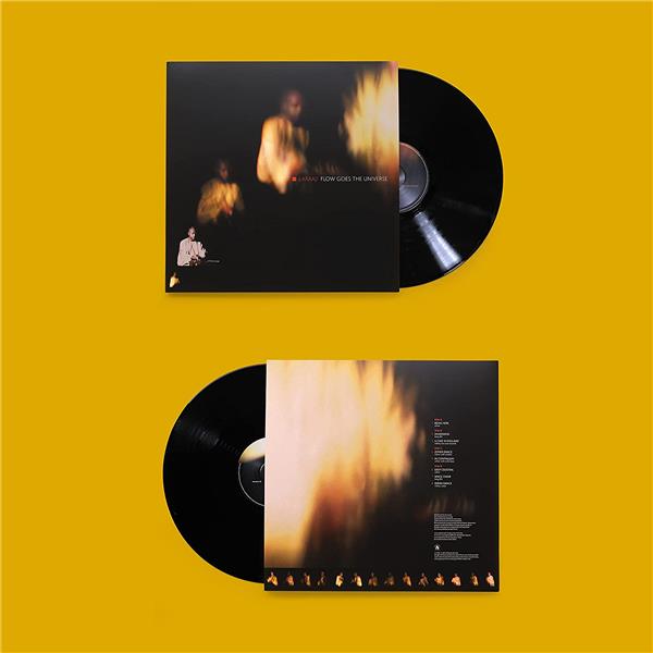 Flow Goes The Universe - Front Cover