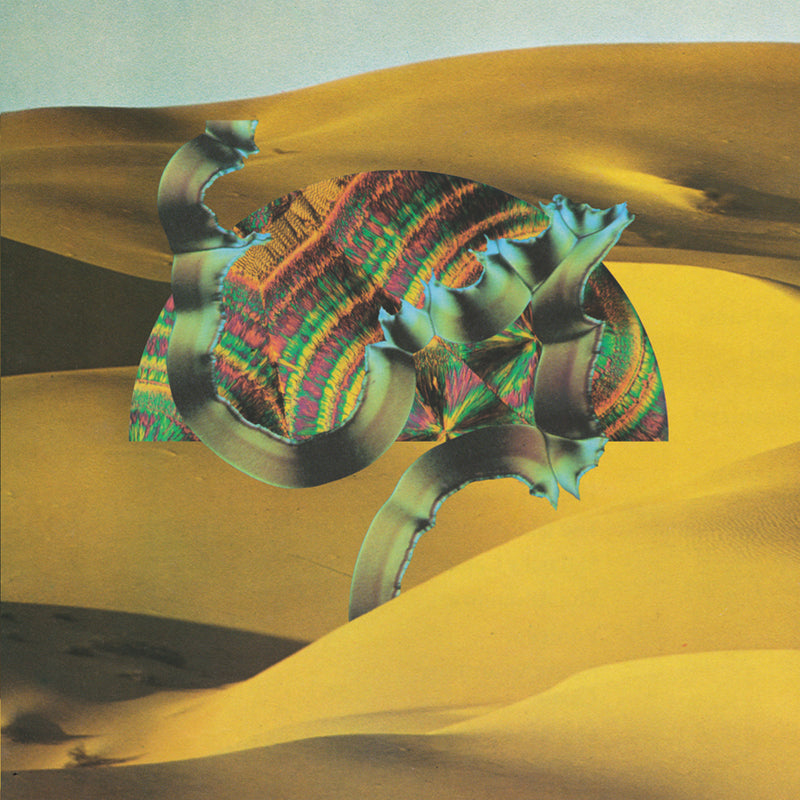 Django Django - Front Cover