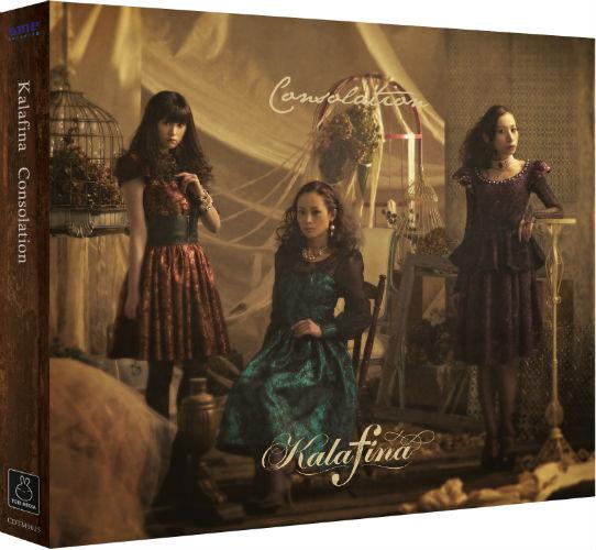 Consolation - Front Cover