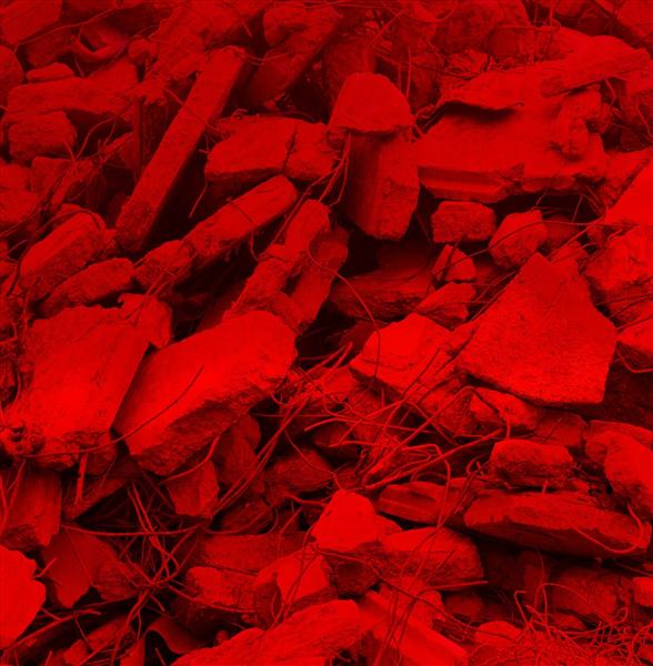 Dream A Garden/coupon MP3 inclus - Front Cover