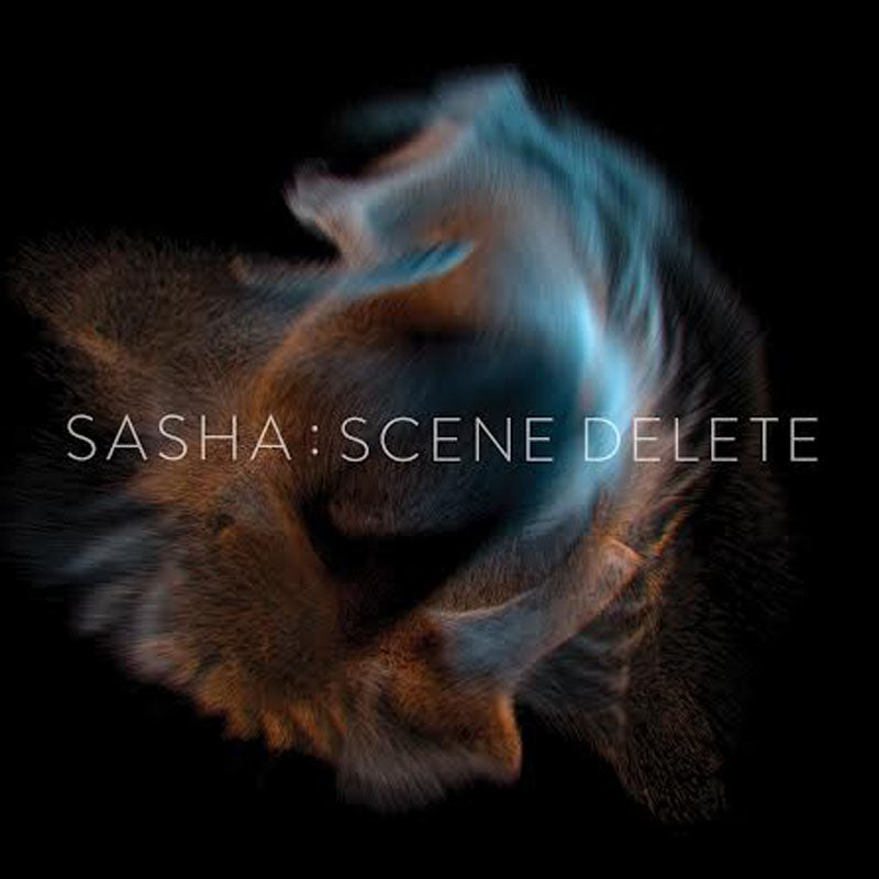 SCENE DELETE - Front Cover