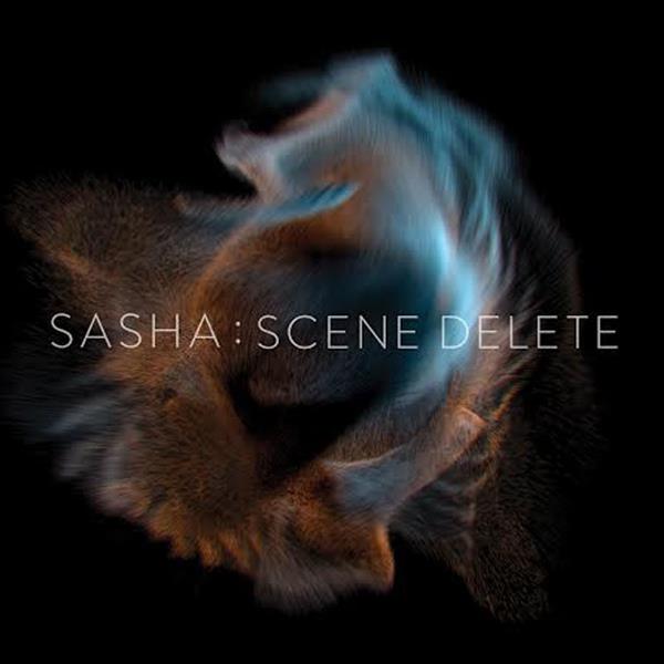 Scene delete - Front Cover