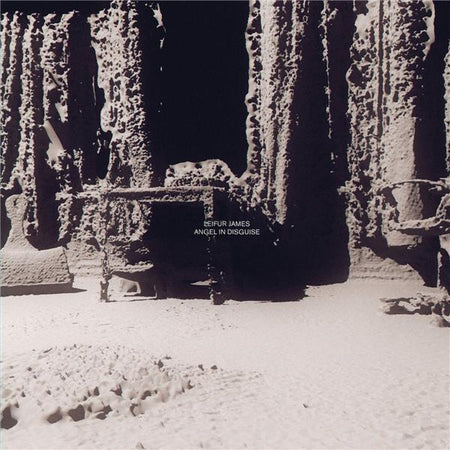 Angel In Disguise - Front Cover