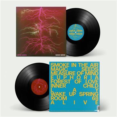 Magic Seeds - Front Cover