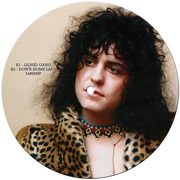The Groover/Picture Disc - Front Cover