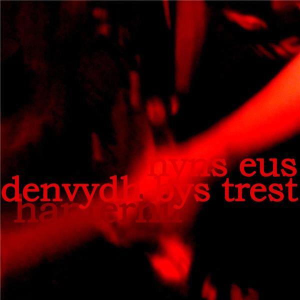 There is No One to Trust (Nyns Eus Denvydth Bys Trest) - Front Cover